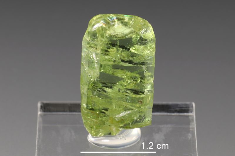 Apatite TNs (Ontario)